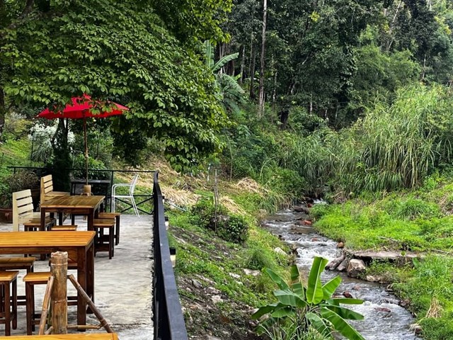 ���Թ�Թ��� �Դ����� �չ�ӵ�ʹ�� ⫹�������    