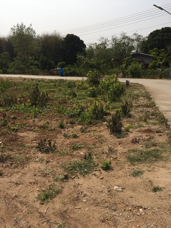 ��·��Թ ���ͷ�� 7��� ��� ����١�� �����ҹ� ���Ŵ� �ҤҴ� �� 0824789822