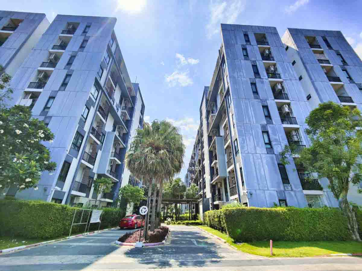 �͹� �ͤ͹� �آ��Ժ�� 2 ��¾��������