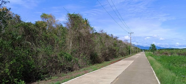 ���Թ���� 40���  ⫹��鹷���ժ��� �ѧ��Ѵ�ѹ�����