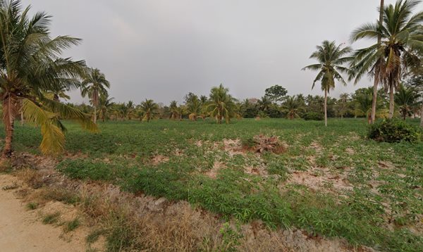 ��·��Թ���� 7 ��� 54 ��.�. �.����¹���� �.�ҧ���ا �.�ź��� ������觷�ͧ������ҡ��� ���ŧ�ع �� 082-547-9820