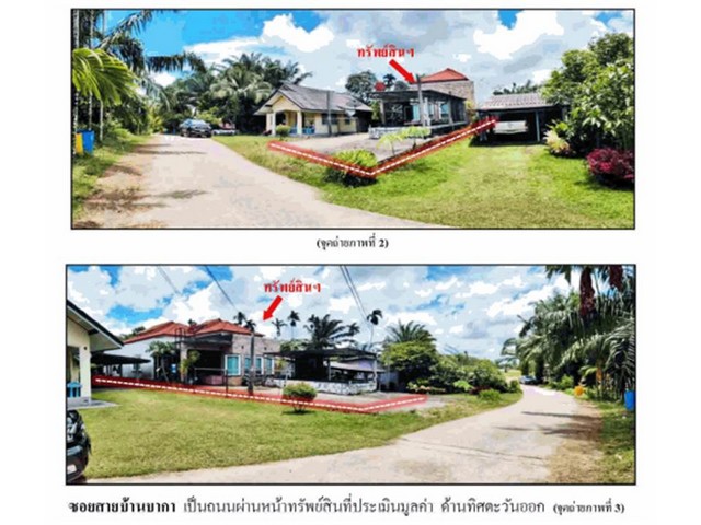 ��º�ҹ����ͧ�ѧ��Ѵ��ѧ  �ç��� �������ҹ������