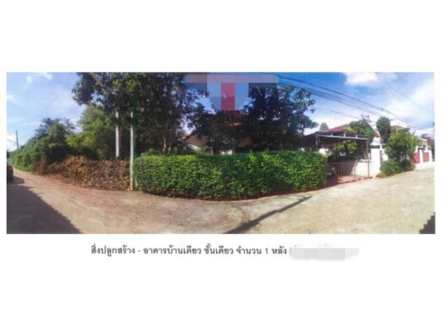 ��º�ҹ����ͧ���ͧ�ԨԵ�   �ç��ú�ҹ����� �ԨԵ�