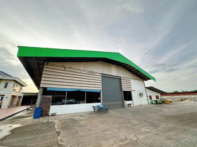 EPL-WH0753 ⡴ѧ ӺŷѲ ù 鹷 1,000 ҧ