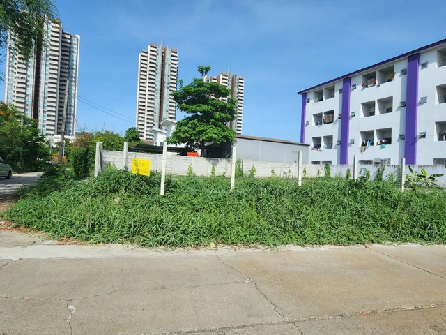 �����ҷ��Թ���� ��͹�� 20,000 �ҷ ��� D5 �ŧ���   98 ��.�.  