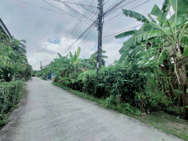 �ҤҶ١�ش���ҹ���! ���Թ���� �. ��͹�ت66 ��Ҵ 201 ��.� ���