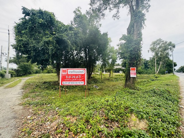 ���Թ�������ҹ������������ ��ҹ˹�ҵԴ�������� ����ٹ���Ҫ��ù