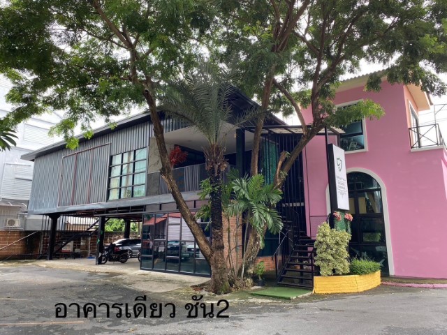 �����Һ�ҹ����ǫ�¹Ҥ�����100��.�250��.�5�͹1���ö��8�ѹ���50