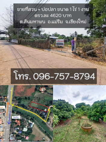 ���Թ���Ŵ��ҡ 1 ��� 1 �ҹ. ��� ��ҹ�ǹ �������§��� �.���ᵧ 