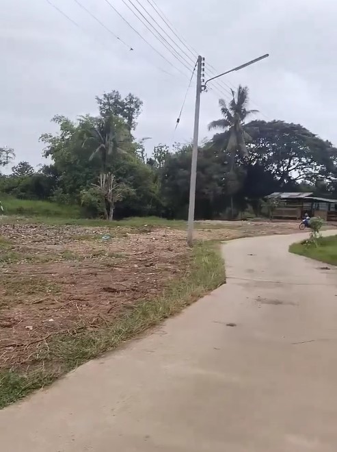 ��·��Թ 1-3-75��� 5�. ��.�ѹ������ǧ ��ѹ���� ��§����