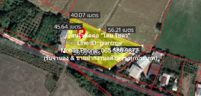 ��º�ҹ �.�.�. 4 ��ѧ (2-2-77 ���) �.��ҡ������� ��Ӿͧ �͹��