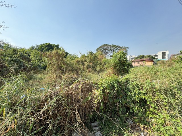 ��·��Թ�Դ����Ҵ�����101 ��� mrt �Ҵ�����