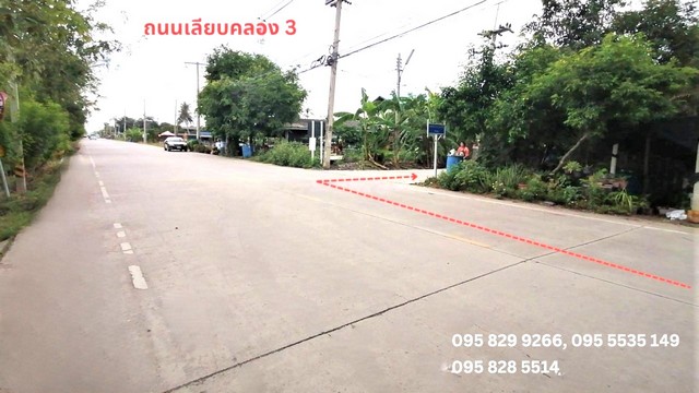 ขายที่ดิน 2-0-2ไร่ ใกล้มอร์เตอร์เวย์9 คลองสาม คลองหลวง ปทุมธานี ขายที่ดิน 2-0-2ไร่ ใกล้มอร์เตอร์เวย์9 คลองสาม คลองหลวง ปทุมธานี