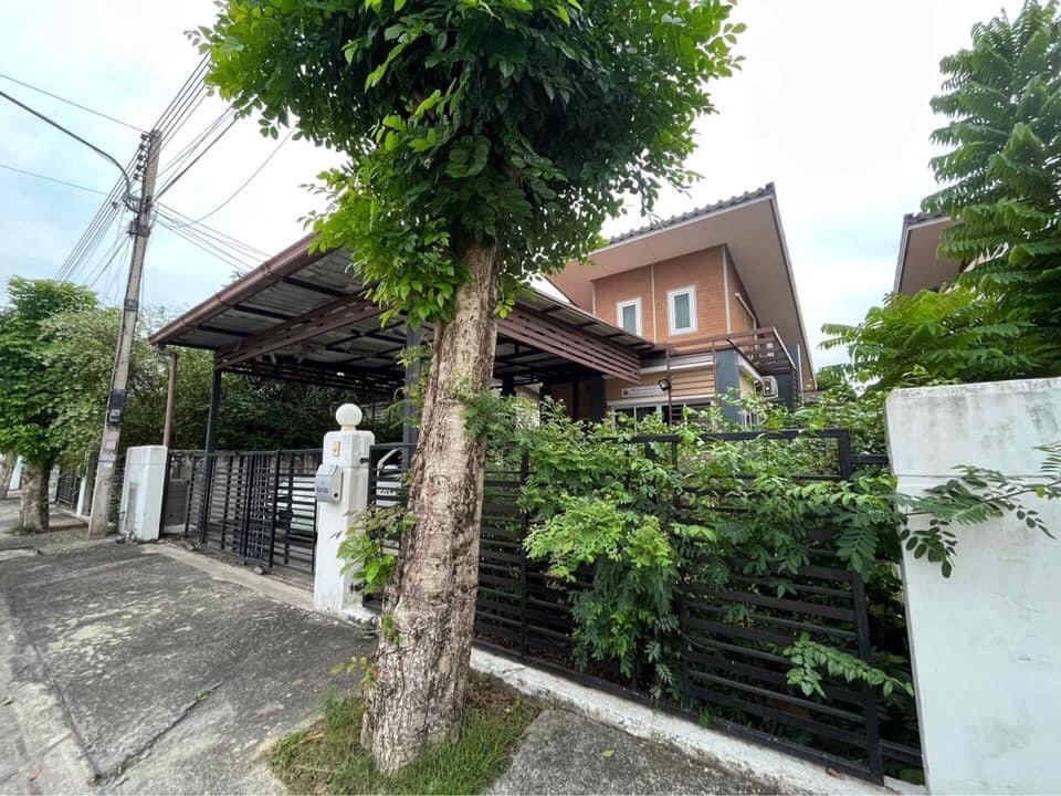 ��º�ҹ����� �����ҹ� ���١�� ��ͧ8 51.5�� 2.35� T0966458046