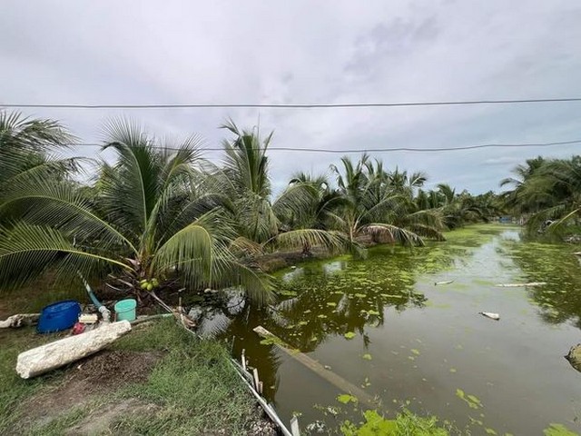 ��·��Թ16 ��� ��Ңͧ����ͧ  ��ط��Ҥ� 