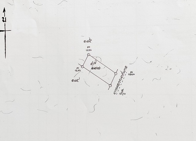 ���Թ���� ������ ����ͧ����á�ᾧྪ� �.����ͧ �.���ͧ��ᾧ�