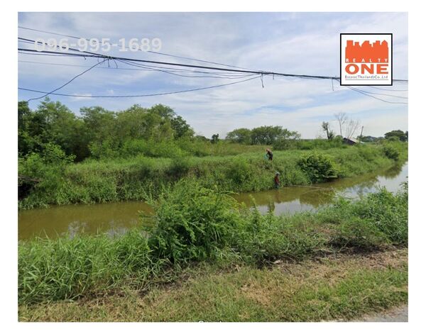 ขายที่ดิน เปล่า 12 ไร่ บางปะกง ฉะเชิงเทรา ขายที่ดิน เปล่า 12 ไร่ บางปะกง ฉะเชิงเทรา