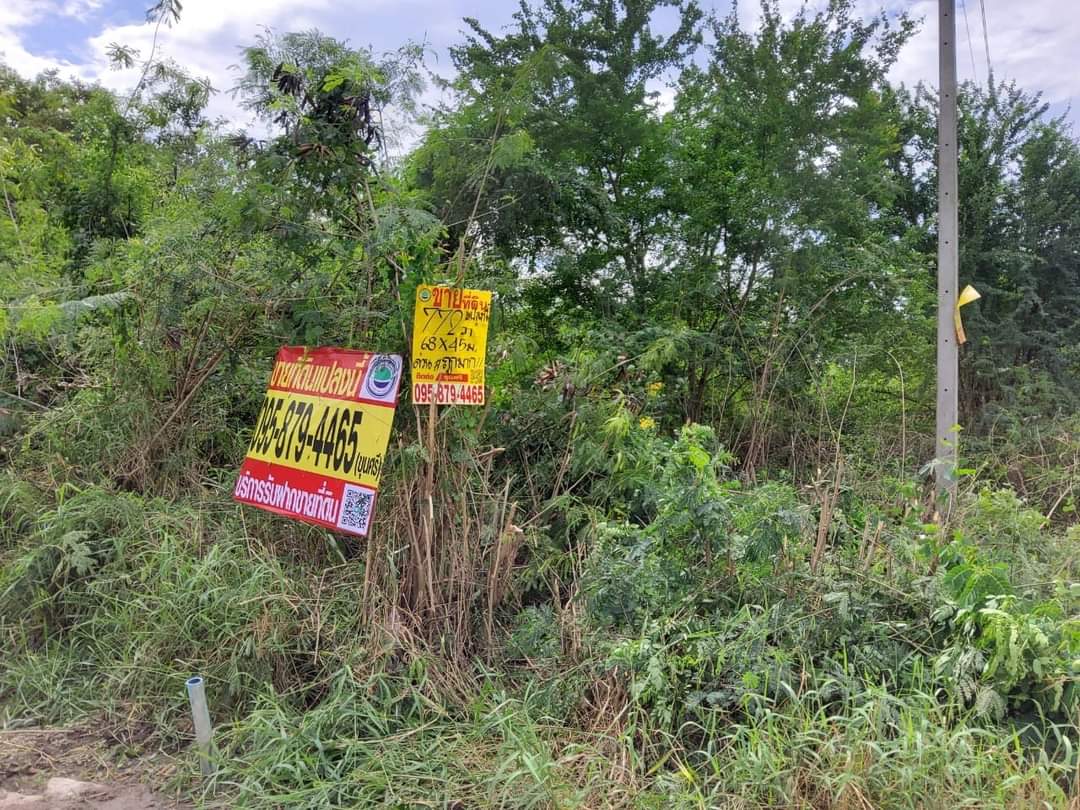 EP.���� ��¶١����ش���Թ�ҧ�Ź 772 ���ҧ��(�觤�����) �Դ����͹��յ�Ҹ�ó� 3 ��ҹ ������ ��ҹ�ǹ�͡ �.��û�� #095-879-4465