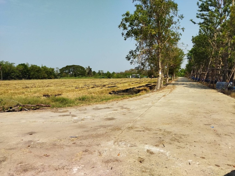 BL151 ขายที่ดิน หนองเสือ, คลอง 7 BL151 ขายที่ดิน หนองเสือ, คลอง 7