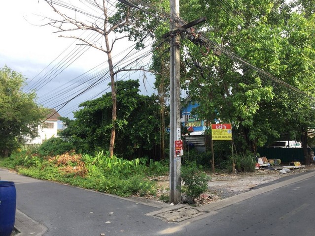 ������ ���Թ 204 ��.��  �.��Ъ��ط�� 54 �¡ 1 ����Ҵ��Ъ��ط�