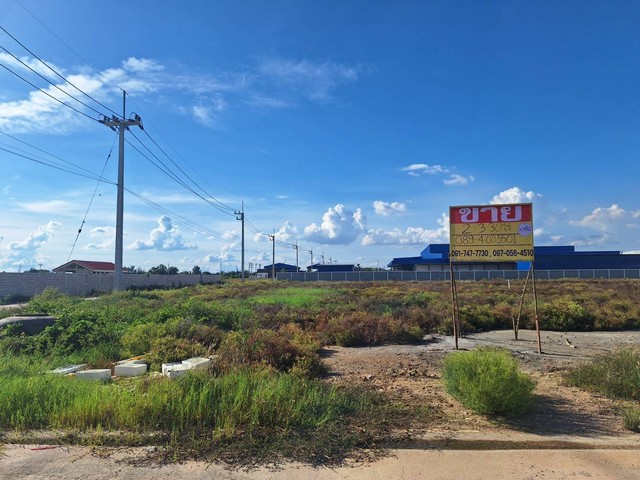 ขายที่ดินจัดสรรสร้างโรงงาน 2-3-30 ไร่ ย่านเลียบคลองหลวง ขายที่ดินจัดสรรสร้างโรงงาน 2-3-30 ไร่ ย่านเลียบคลองหลวง