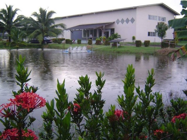 ��¡Ԩ��� �ç�ҹ��Ե����á�л�ͧ ����ԡ ���ʹԤ� �ź���