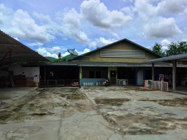 ����ç�ҹ ����Ѵ�Ҫ�ͧ��ҹ ����� ⾸�����ѧ��Ѵ �Ҫ����