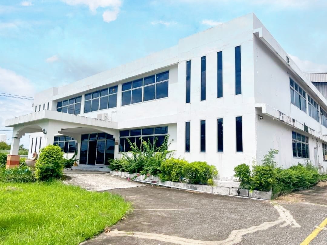 ��´�ǹ�ç�ҹ��طû�ҡ��