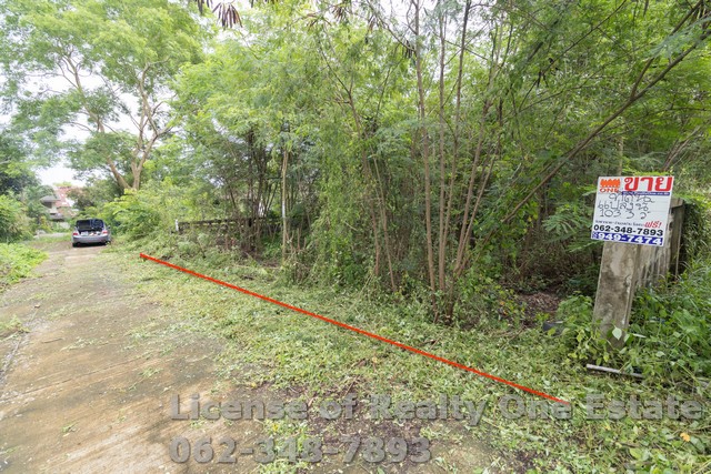 ��·��Թ ������ �ҤҶ١�ҡ� ��ͧ 12 �ѧ�Ե��ù�¡ �Թ�ҧ�дǡ �