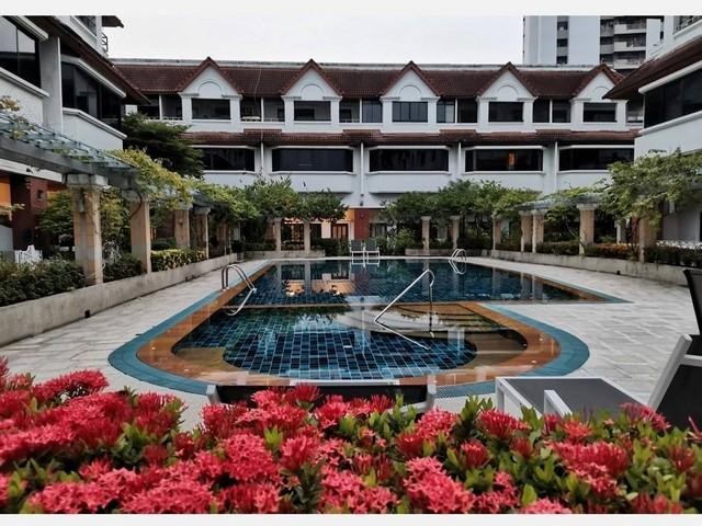 PB4785 �����ҷ�ǹ���� 5 ��� ����͡���10 �ç��� Lotus Point �͡