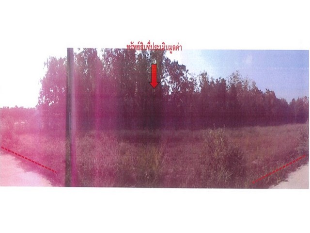 ��·��Թ ����� �٫ҧ �ѧ��Ѵ�����