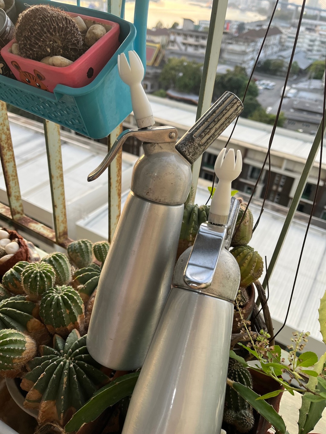 ��´�ǹ ����ͧ+�ػ�ó� ��ҹ����� ��ҹ��� ��Т����ҹ 