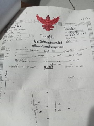 ขายด่วนที่ดิน ตำบลบ้านนา อำเภอจะนะ จังหวัด สงขลา ขายด่วนที่ดิน ตำบลบ้านนา อำเภอจะนะ จังหวัด สงขลา