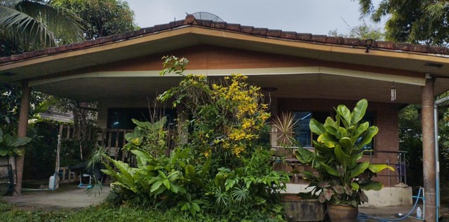 ��º�ҹ��������Թ ��������ͧ��§��� �ѧ��Ѵ��§���  235 ���ҧ�