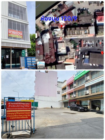 ����Ҥ�þҳԪ�� 3 ��� ����Ƿ��������ѧ  ������ʹ� ��ظ�� 