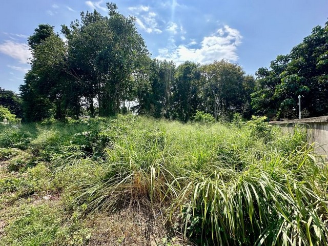 ��� ���Թ���� �Ҿ���� ����Ҫ� ���Թ��� ⫹����� 