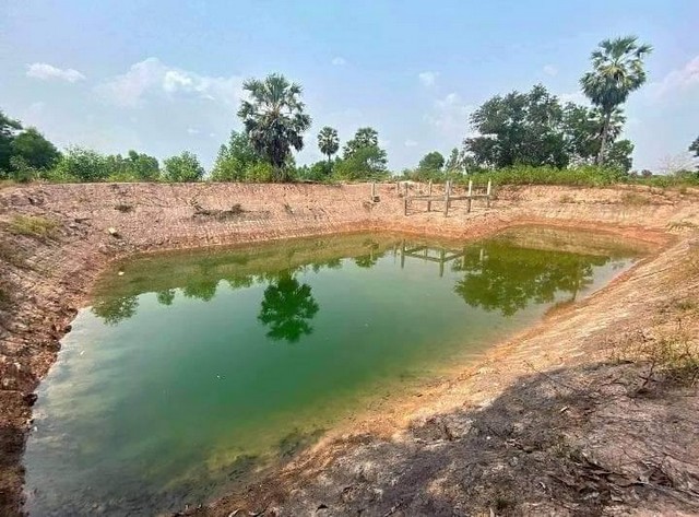 ขายที่ดิน ประจันตคาม 9 ไร่ 2 งาน ขายที่ดิน ประจันตคาม 9 ไร่ 2 งาน