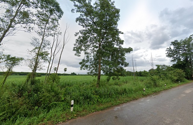 ขายที่ดินติดคลองพระสะทึง เนื้อที่ 22 ไร่ ต.ศาลาลำดวน อ.เมือง จ.สร ขายที่ดินติดคลองพระสะทึง เนื้อที่ 22 ไร่ ต.ศาลาลำดวน อ.เมือง จ.สร