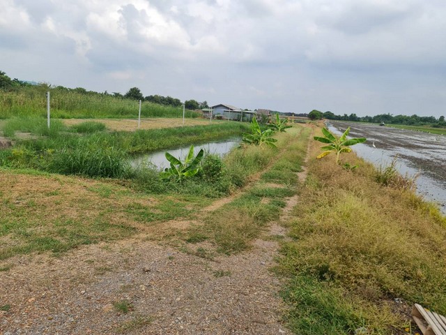 �觷��»մ��·�Ѿ��մի����� ���Թ �觢�� �Ҵ������� ���� 5