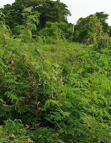 ��·��Թ�����ǵԴ��ͧ����з֧��еԴ����Ҹ�ó� ���ͷ�� 41 ������