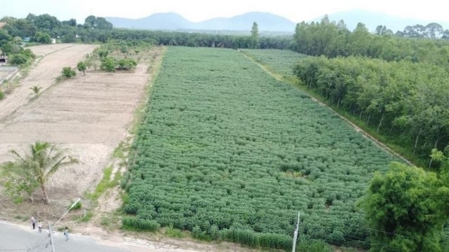 ��� ���Թ¡�ŧ ⫹�Ԥ� WHA ��ǡᴧ ���ͧ