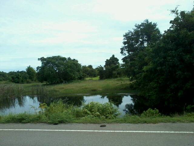 ��·��Թ���� ��Ҵ���Թ 24 ��� 24 ��.�. �.��ѭ����� �.������