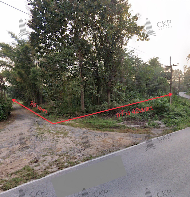 ��� ���Թ��������� ����ӵ������ �ҧ�����͹��� ����Ũҡ�����