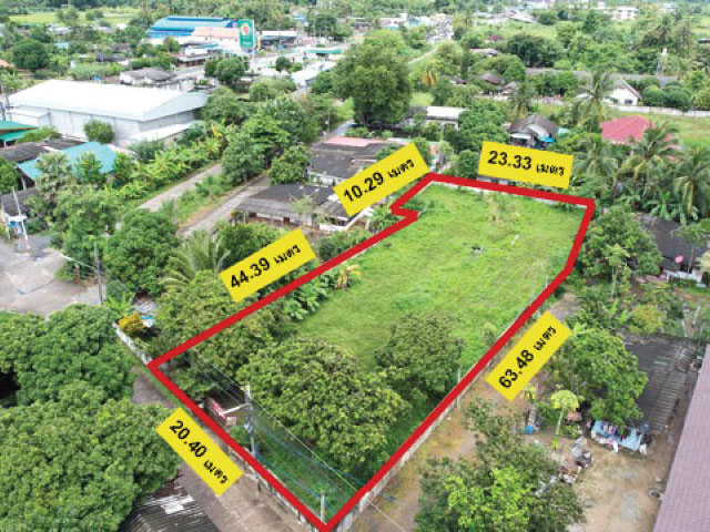 ��·��Թ��� 314 ��.� �.������� �.������ �.��§����