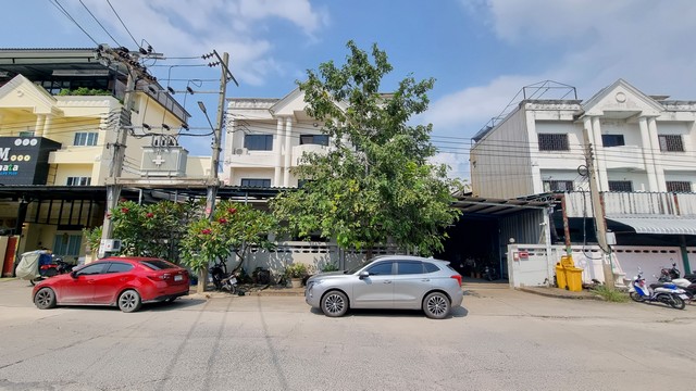 ��� �ç�ҹ ���س�ع��� ῤ������Ź�� ������� ������ �Ҥ� 11.5 ź