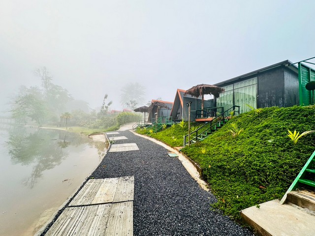 ¢ÒÂÃÕÊÍÃì·µÔ´áÁè¹éÓá¤Ç¹éÍ µÔ´ÅÓËéÇ ¡Ò¨¹ºØÃÕ Ë¹éÒ¹éÓ¡ÇéÒ§ ¢ÒÂÃÕÊÍÃì·µÔ´áÁè¹éÓá¤Ç¹éÍ µÔ´ÅÓËéÇ ¡Ò¨¹ºØÃÕ Ë¹éÒ¹éÓ¡ÇéÒ§