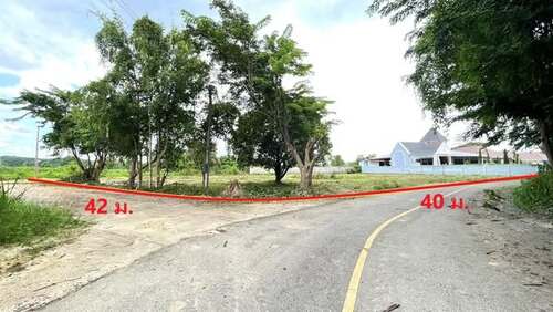 ���Թ���� �����ҹ���Ш�� �ѹ���� �.˹ͧ���� �.�ѹ���� �.��§����