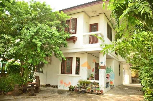  �����Һ�ҹ����� �����ҹ������� ������ 41 ���ʹ���Թ����ó�