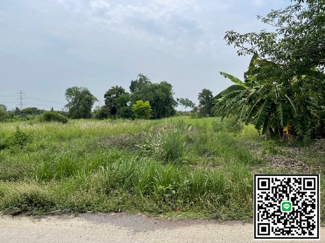 ขายที่ดิน ซอยเทศบาลบึงบา อำเภอหนองเสือ จังหวัดปทุมธานี ขายที่ดิน ซอยเทศบาลบึงบา อำเภอหนองเสือ จังหวัดปทุมธานี