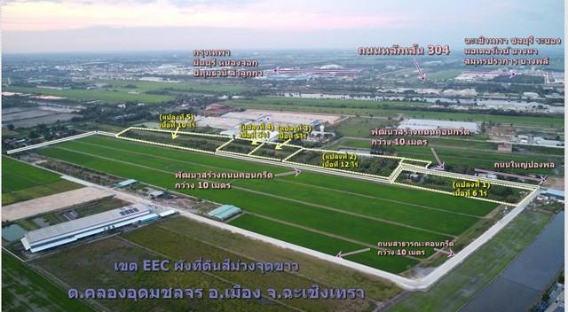 ขายที่ดินเขตEEC 5ไร่-40ไร่คลองอุดมชลจร เมืองฉะเชิงเทรา ขายที่ดินเขตEEC 5ไร่-40ไร่คลองอุดมชลจร เมืองฉะเชิงเทรา